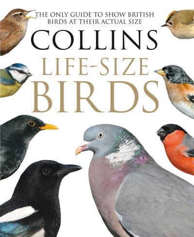 Collins Life Size Birds H/B