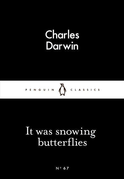 It Was Snowing Butterflies P/B