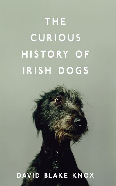 Curious History Of Irish Dogs P/B