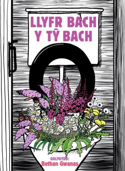 Llyfr Bach Y Ty Bach