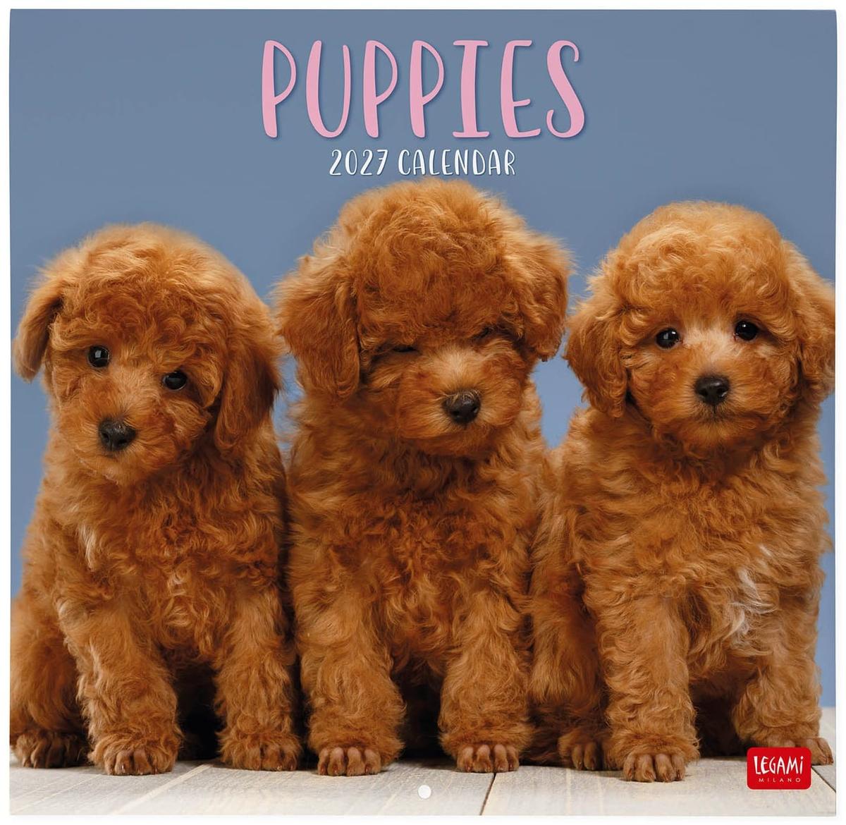 Legami Wall Calendar 2027 Puppies