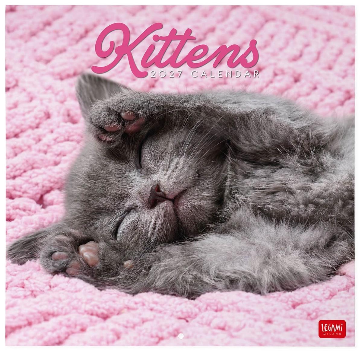 Legami Wall Calendar 2027 Kittens