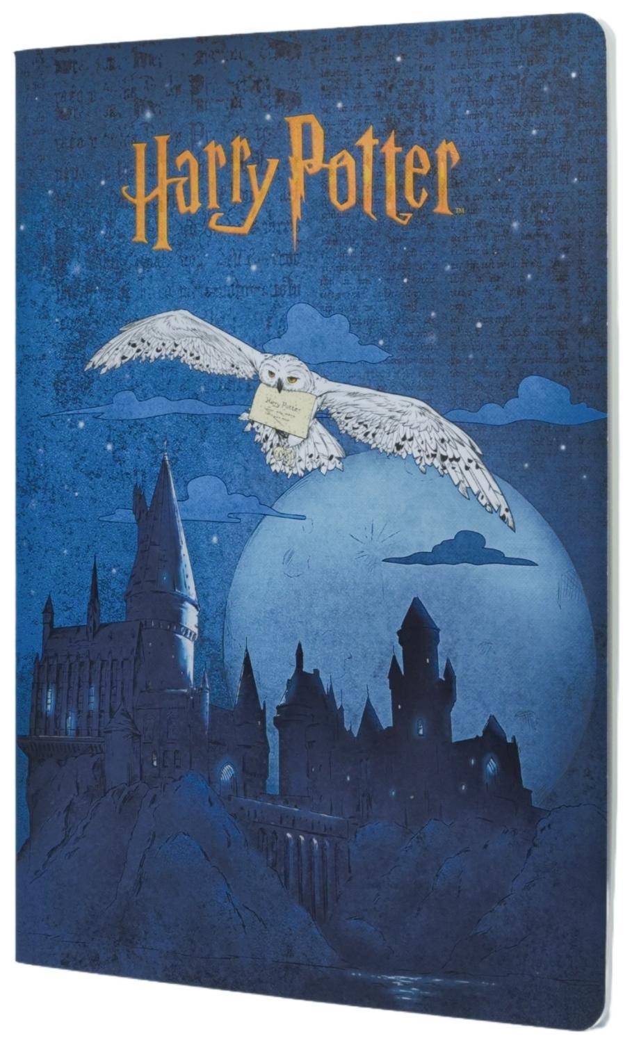 Paperblanks Escape To Hogwarts Harry Potter A4 Lined Cahier