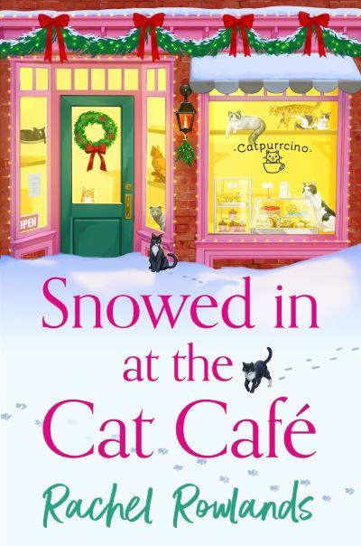 Snowed in At the Cat Café