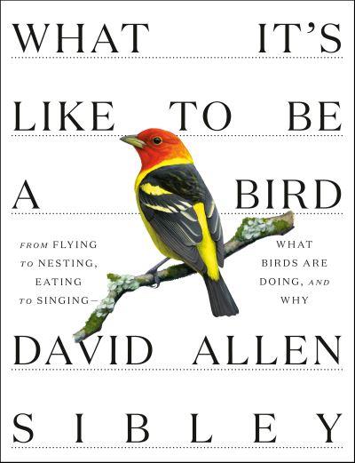What It's Like To Be a Bird