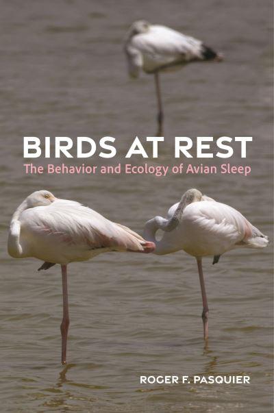Birds At Rest