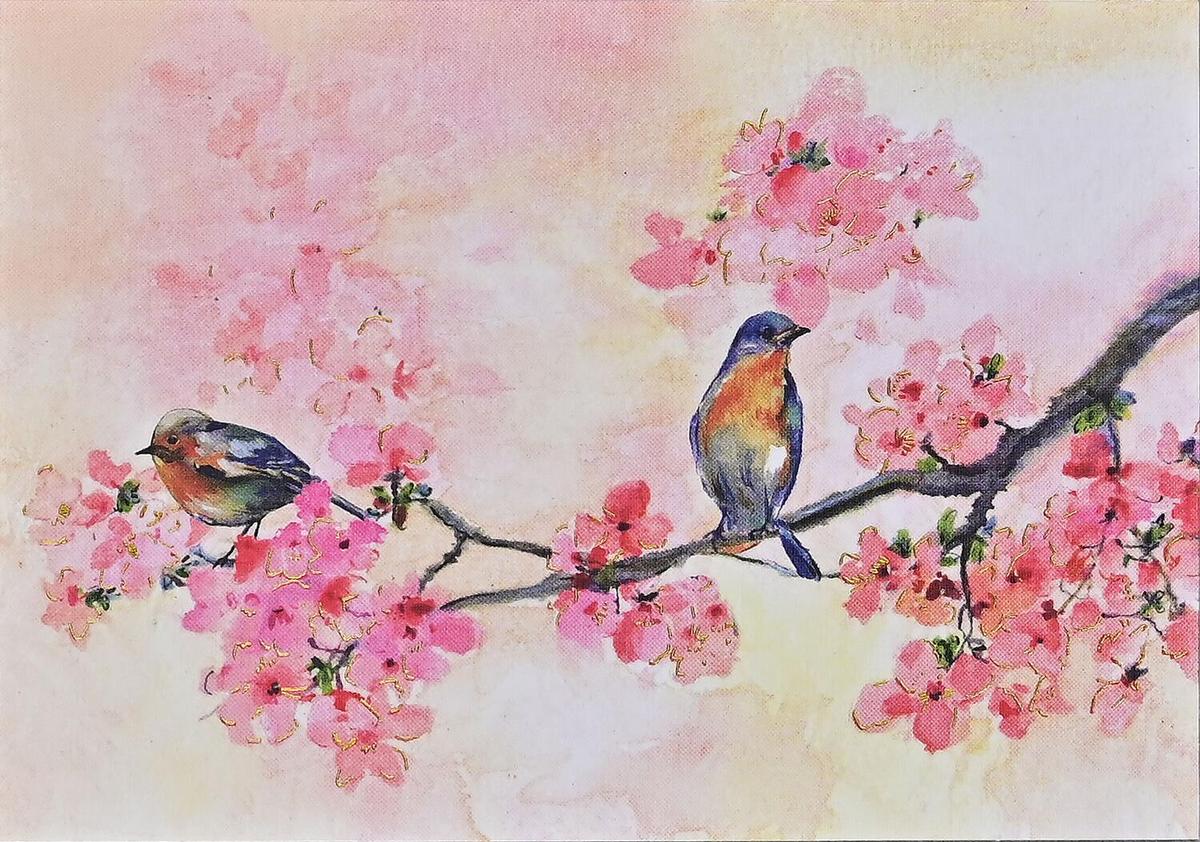 Peter Pauper NOTE CARD CHERRY BLOSSOMS IN SPRING 14PK