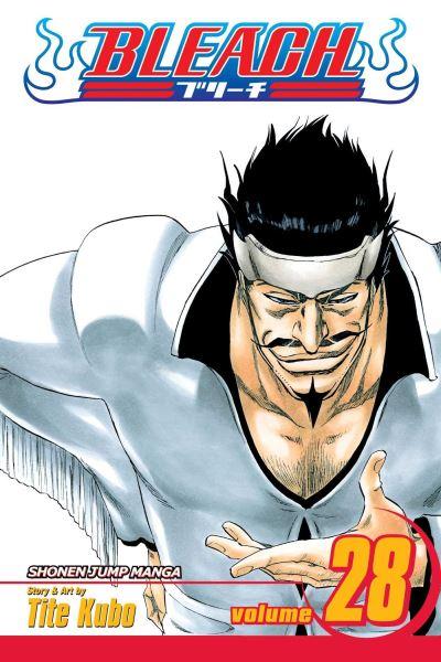 Bleach. Vol. 28