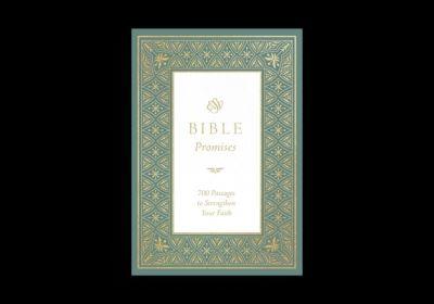 Bible Promises