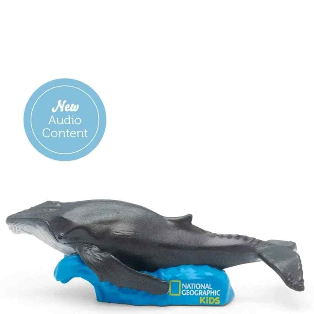 Content Tonie - Nat Geo - Whale