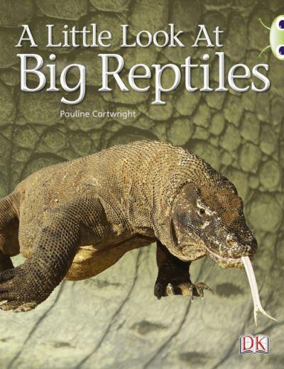 A Little Look At Big Reptiles
