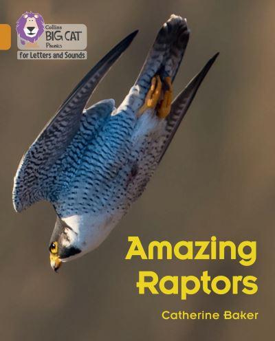 Amazing Raptors