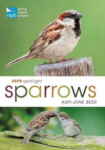Sparrows