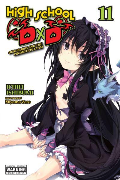 High School DxD. Volume 11