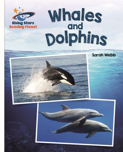 Whales and Dolphins