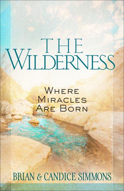 The Wilderness