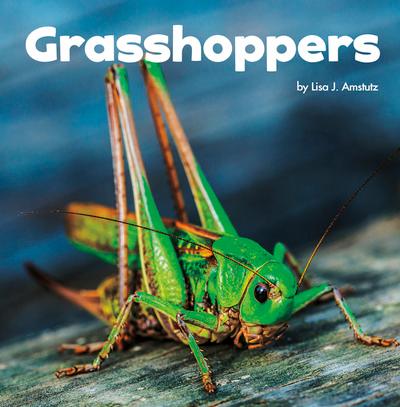 Grasshoppers