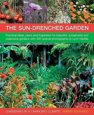The Sun-Drenched Garden