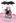 Isadora Moon Rides a Bike