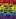 The LGBTQ+ History Book