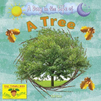 A Day in the Life of a Tree