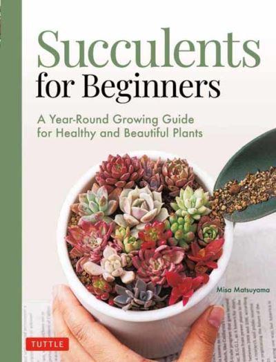 Succulents For Beginners