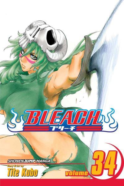 Bleach. Vol. 34