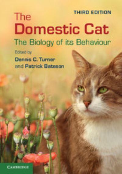 The Domestic Cat