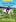 Rowan Tree Stables 4 – Horse Show Surprise