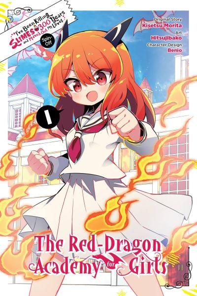 The Red Dragon Academy For Girls