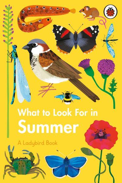 What To Look For in Summer