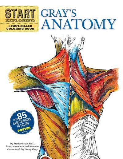 Start Exploring: Gray's Anatomy
