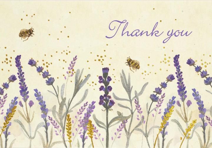 Peter Pauper 14 Pack Thank You Cards  Lavender & Honey