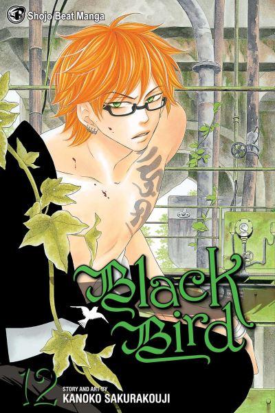 Black Bird. Volume 12