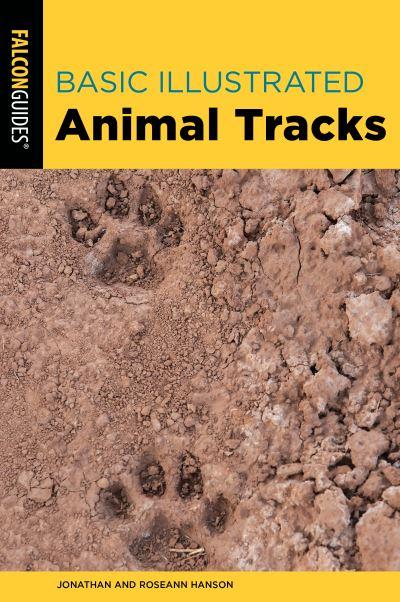 Animal Tracks