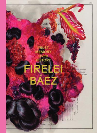 Firelei Báez - Trust Memory Over History