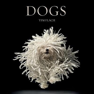 Dogs/Gods
