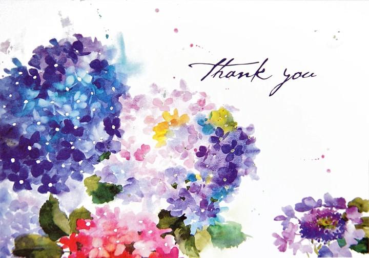 Peter Pauper 14 Pack Thank You Cards  Hydrangeas