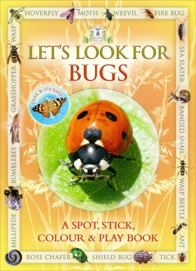 Let's Look For Bugs