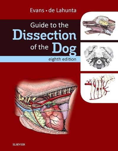 Guide To the Dissection of the Dog