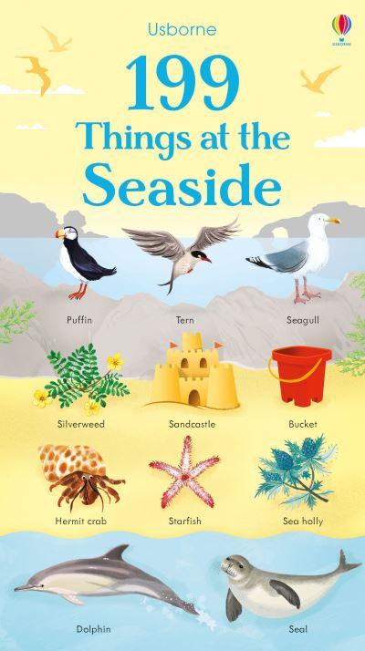 Usborne 199 Things At the Seaside