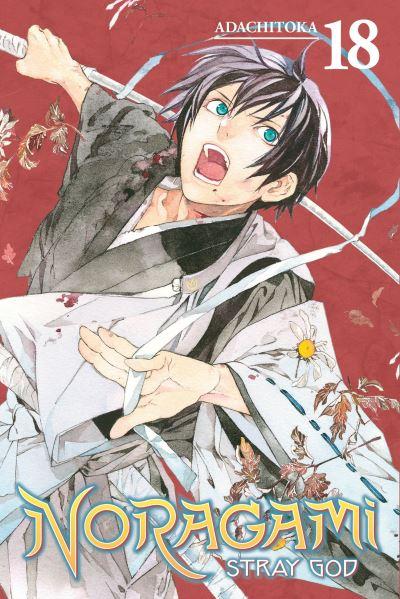 Noragami. Volume 18