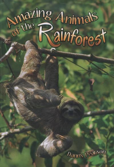 Amazing Animals of the Rainforest