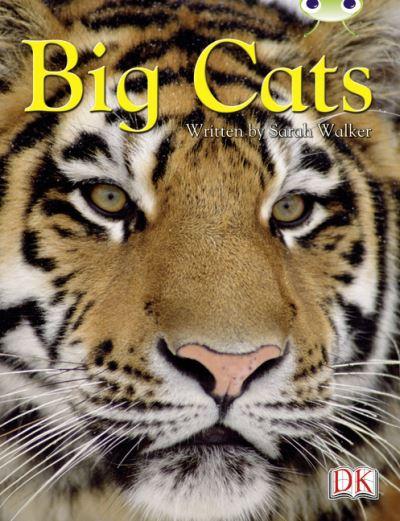 Bug Club Independent Non Fiction Year 3 Brown B Big Cats