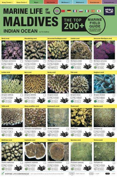 Maldives Marine Life Field Guide