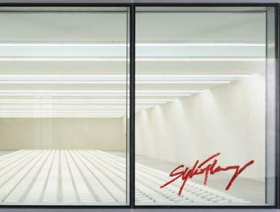 Sylvie Fleury - Double Positive