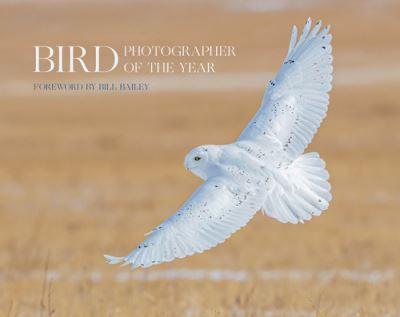 Bird Photographer of the Year. Collection 6