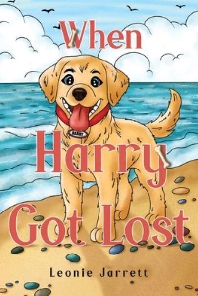 When Harry Got Lost