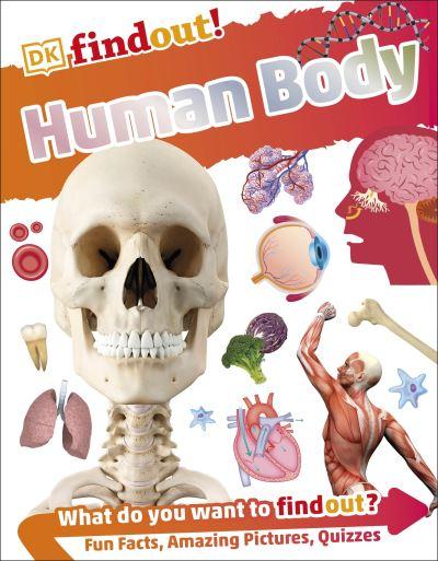 Human Body