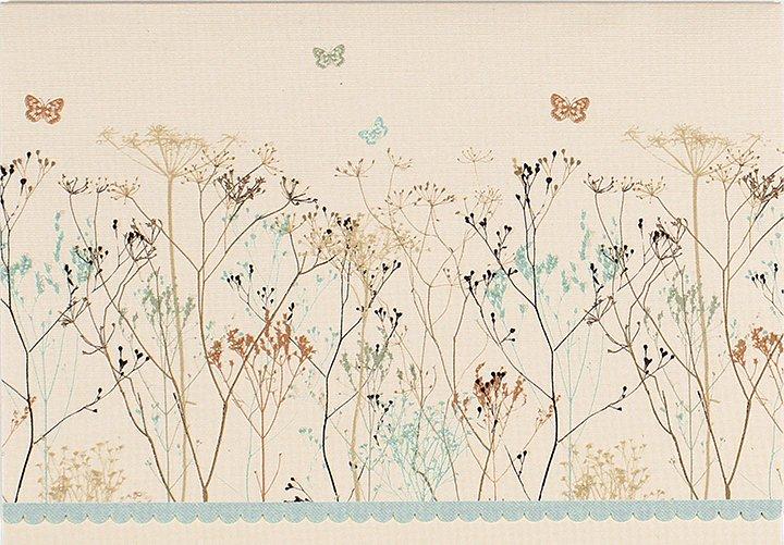 Peter Pauper 14 Pack Note Cards  Butterflies